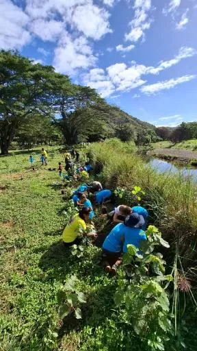 Des enfants plantent à côté d'une berge