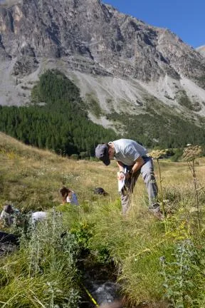 Agents dans le parc du Queyras en train de noter des informations sur un cours d'eau