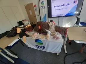 Le résultat des saisies avec des pièces d'ivoire et une dent d'hippopotame