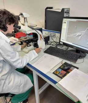 Analyse hydrobiologique (diatomées) par le laboratoire de la DR IDF