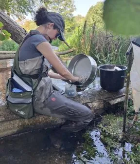 Prélèvement hydrobiologique (invertébrés) par le laboratoire de la DR IDF