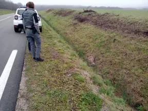 Cette photographie montre un fossé longeant une route départementale. Une personne se tient debout, de dos, sur l’accotement à proximité d’un véhicule stationné et observe un cadavre de lynx situé dans le fossé. La personne est un agent du service départementale de la Haute-Saône, portant l'uniforme de l'OFB.