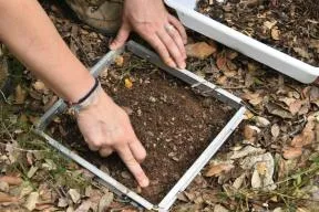 Cette photo montre les mains d’un agent de terrain qui pose sur un sol de terre recouvert de feuilles mortes un quadrat (carré en métal) pour définir la zone d’échantillonnage du sol. Les feuilles ont été enlevées à l’intérieur du quadrat pour mettre la terre à nu.