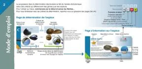 Image complexe - schémas (voir description)