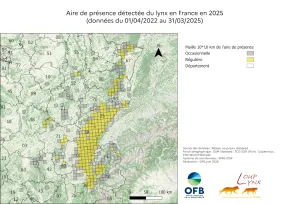 Image complexe - carte (voir description)