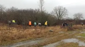 Chantier participatif d'entretien de la prairie humide