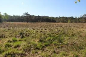 RNR Basse Goulandière