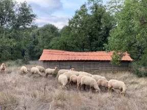 CLER VERTS ENGAGEE IMAGE