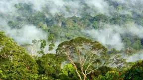 Vallée de Danum, Malaysie