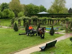 SOINS MODERNES DES ARBRES