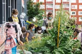 la végétamisation des cours d'écoles