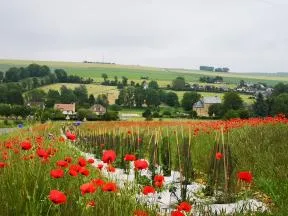 Haie en entrée de village