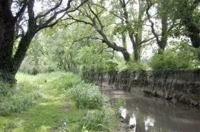 Refuge LPO canal de Craponne