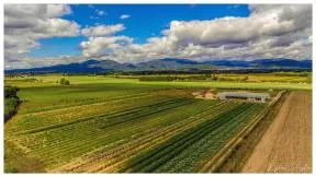 Maraichage bio à Ungersheim