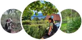 CAISSE D'EPARGNE ET DE PREVOYANCE DE MIDI PYRENEES