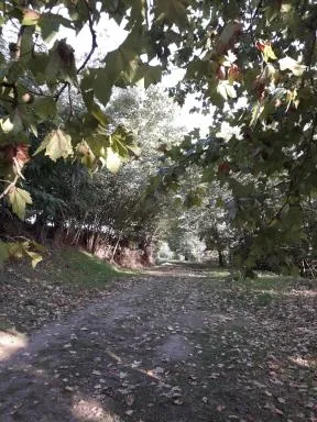 Chemin de la Bécasse