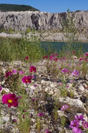 La Calmette ©Lafarge France