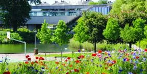 Lognes, une ville verte et fleurie © Mairie de Lognes