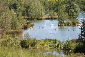 Réaménagement_Sandrancourt