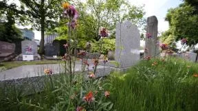 cimetière végétalisé