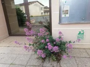 Entrée de la mairie fleurie