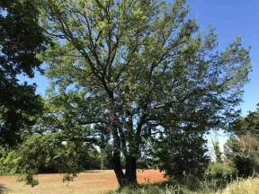 Septèmes les Vallons