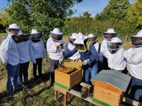Photo illustrant une action de sensibilisation aux pollinisateurs