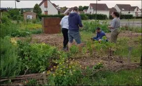 Jardin partagé de Pont-de-l'Arche