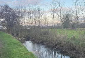 Berges du Petit Odon