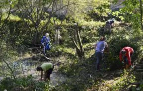 Chantier participatif de restauration de mare