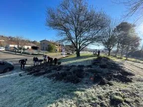 Plantation d'un ilot de fraicheur en janvier 2024