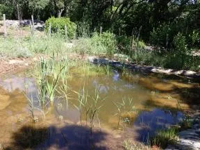 Création d'une mare temporaire en garrigue