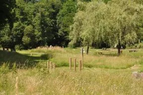 Gestion différenciée dans un parc public 