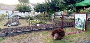 Décoration du jardin pédagogique pendant la 3eme édition du festival de la biodiversité