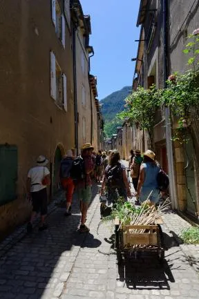 ABC : Identification des plantes en bordure de chemin par les habitants