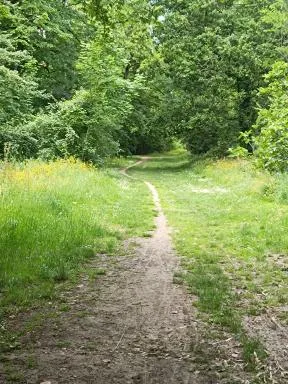 Tonte différenciée