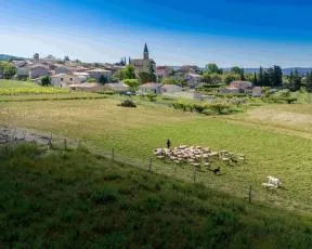 Printemps 2024, Saint-Pierre-de-Vassols, le berger et son troupeau, photo VTX PROD / La CoVe