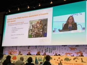 Photo de la plénière de présentation du rapport de l'IPBES sur les espèces exotiques envahissantes