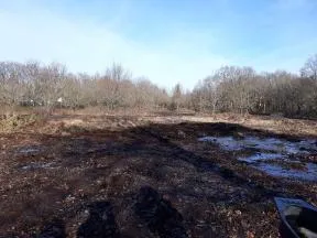 Photo d'un chantier d'une opération de renaturation d'une lande mésophile effectuée par la commune de Crossac, deux mois après son commencement