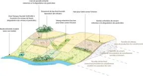 (image d'illustration)