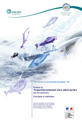 image de décoration (vignette de couverture)