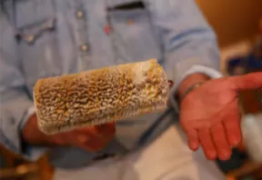 photo d'un rouleau de peinture dans la main d'une personne