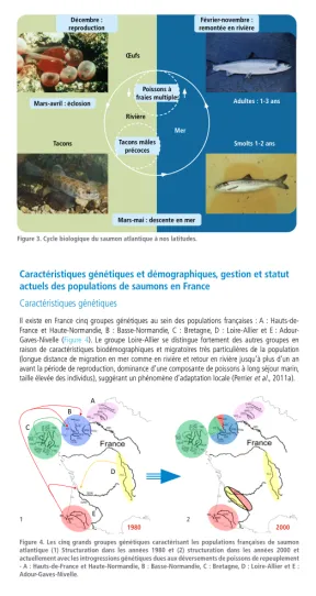 Extrait de la page 12 de l'ouvrage : voir document pdf 