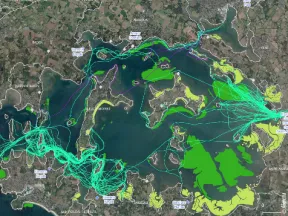 Trajectoires en kayak ou paddle des porteurs de montres GPS participant à l’expérience et distribution des herbiers de zostères dans le Golfe du Morbihan.