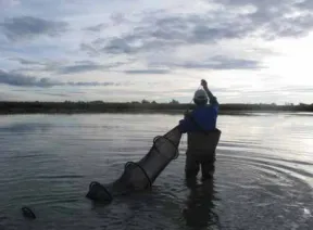 Photo d'un homme de dos en tenue de pêche, dans une surface en eau (jusqu'aux genoux) tenant un filet de peche tubulaire dans les mains, sur fond de ciel gris bleu.