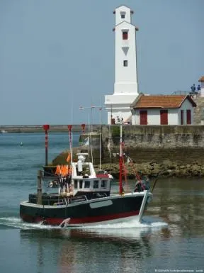 Photo d'un bateau de pêche professionnelle entrant au port