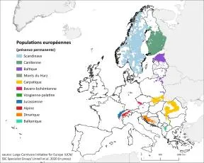 Image complexe - carte (voir description)