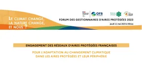 image de décoration (vignette de couverture)