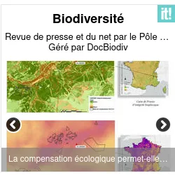 vignette d'illustration