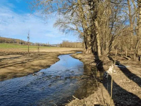 Photo de la Bièvre, et sur ses berges d'un côté des arbres et de l'autre, les travaux de restauration qui viennent d'être réalisés. Au fond, un peu d'herbe a commencé à pousser, mais en bord du cours d'eau c'est encore de la terre. On voit deux arbres qui viennent d'être plantés, de ce côté-là.